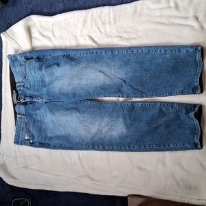 Torrid womans size 20R premium stretch, bomb shell straidenim jeans